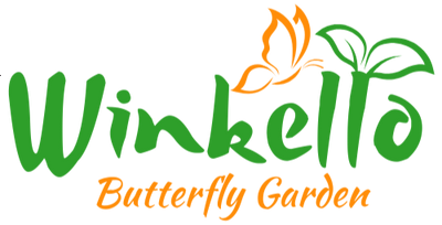 Winkello